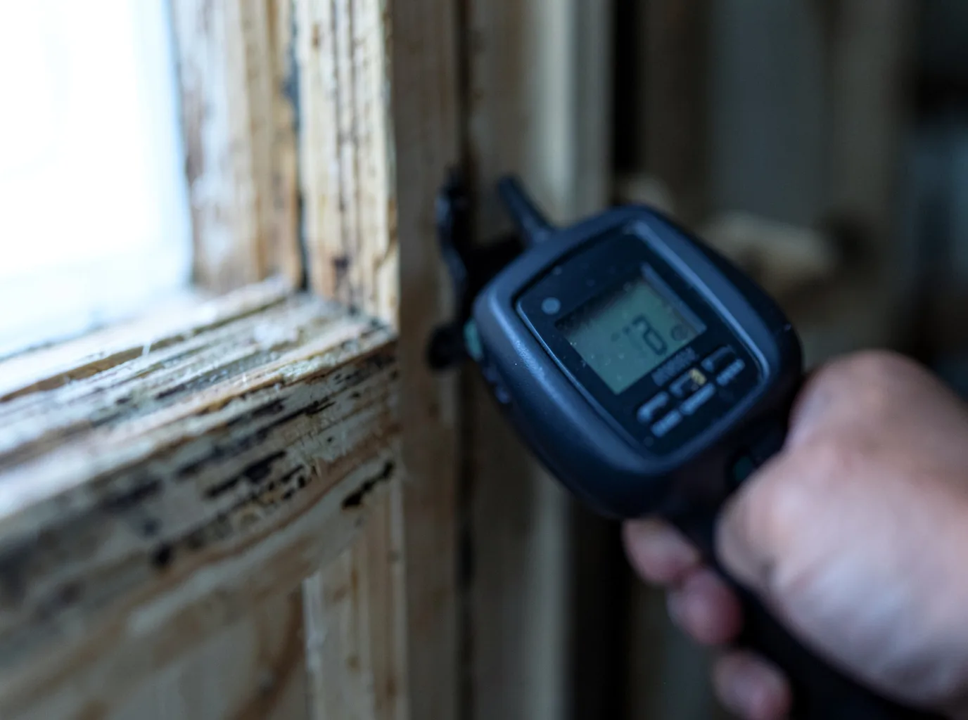 Moisture Inspection And Documentation in South Boston, VA